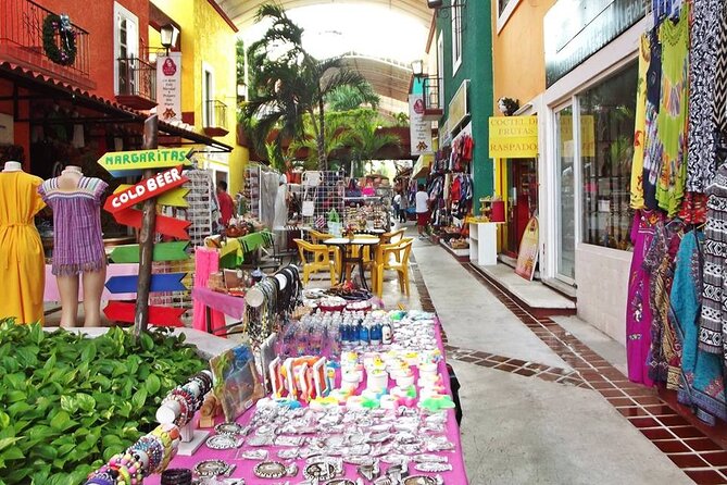 Cancun Shopping Private Guided Tour & City Sightseeing - Health and Accessibility