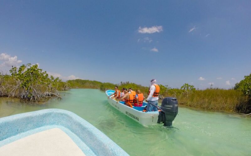 Cancun: Sian Kaan Biosphere Reserve Half-Day Tour - Tour Duration and Pricing