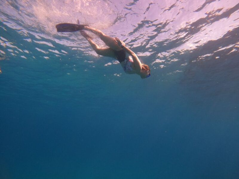 Cancun: Snorkel in MUSA Undewater Museum and Reef - Pricing and Booking