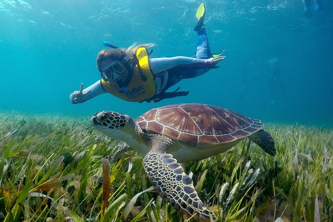 Cancun Snorkeling Adventure: Underwater Museum, Reef & Shipwreck - Snorkeling Highlights