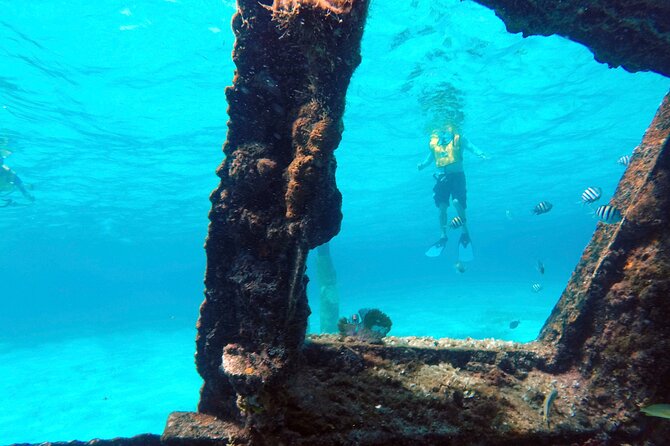 Cancun Snorkeling Adventure: Underwater Museum, Reef & Shipwreck - Transportation and Logistics