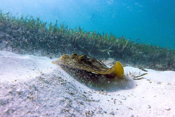 Cancun Snorkeling Adventure: Underwater Museum, Reef & Shipwreck - What to Bring