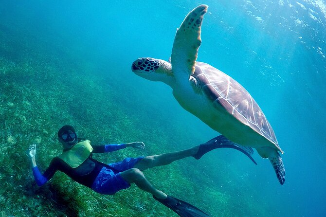 Cancun Snorkeling Adventure: Underwater Museum, Reef & Shipwreck - Booking Information