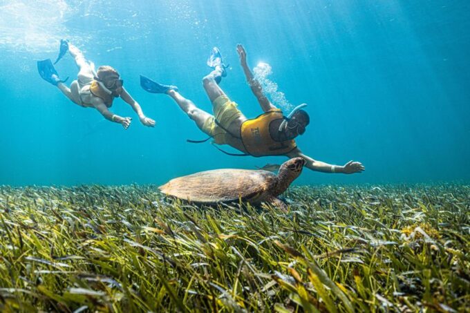 Cancun: Snorkeling Boat Tour With Hotel Transfer and Gear - Important Considerations