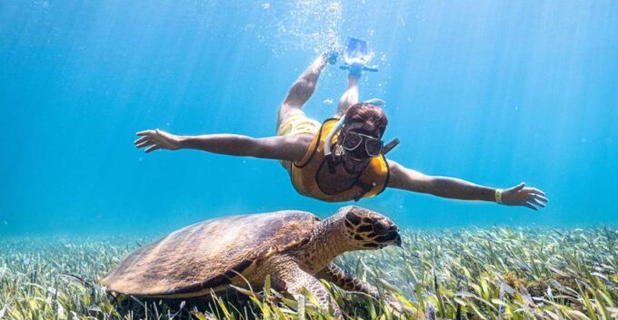Cancun: Snorkeling Boat Tour With Hotel Transfer and Gear - Frequently Asked Questions