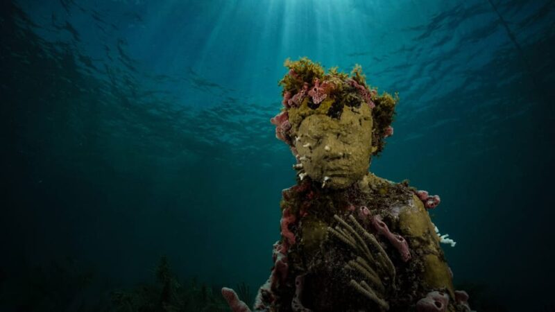 Cancun: Snorkeling Tour at MUSA The Underwater Museum - Snorkeling Highlights