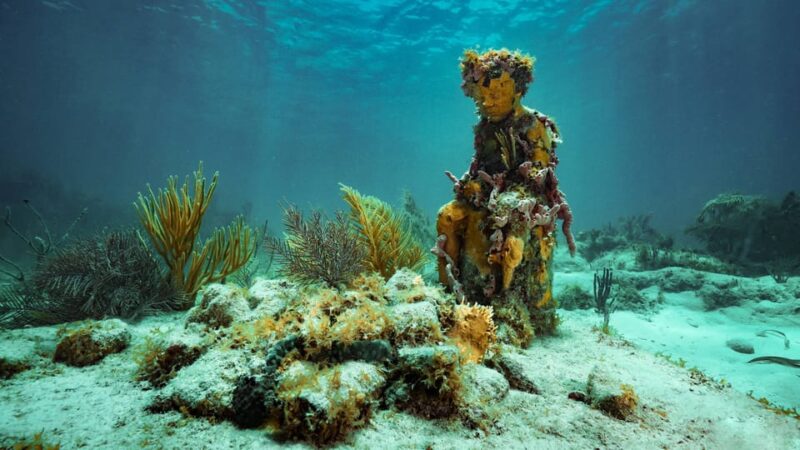 Cancun: Snorkeling Tour at MUSA The Underwater Museum - Recommended Items