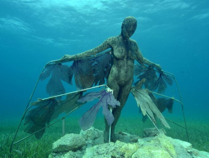 Cancun: Snorkeling Tour at MUSA The Underwater Museum - Customer Feedback