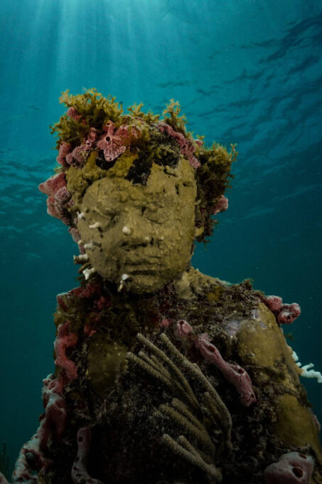 Cancun: Snorkeling Tour at MUSA The Underwater Museum - Frequently Asked Questions