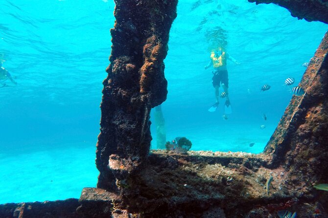 Cancun Snorkeling Tour: Swim With Turtles, Reef, Underwater Museum and Shipwreck - Exploring the Underwater Museum and Shipwreck