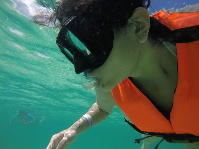 Cancún: Snorkeling With Marine Turtles and Cenote Swim - What to Bring