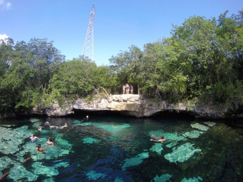 Cancún: Snorkeling With Marine Turtles - Tour Highlights