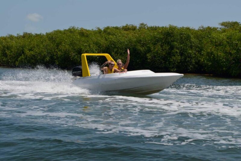 Cancun: Speed Boat & Snorkel Jungle Adventure - Itinerary Details