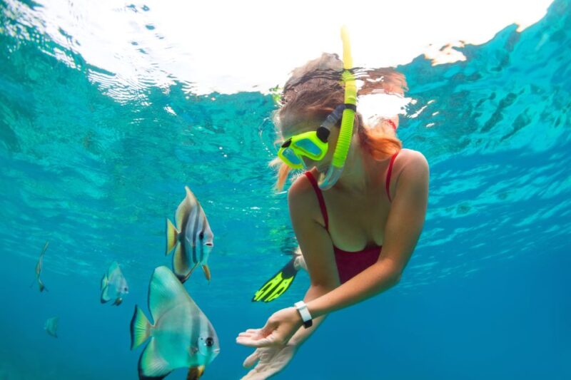 Cancun: Speedboat, Snorkeling & Mayan Ceremony - Key Points