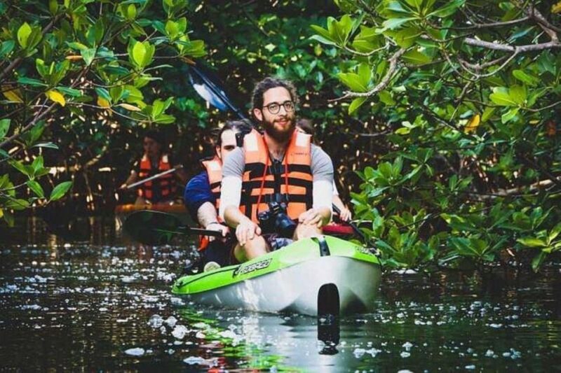 Cancun: Sunrise or Sunset Kayak Tour - Included Activities