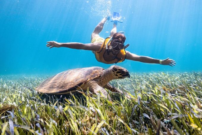 Cancun: Sunrise Snorkeling Tour With 5 Stops and Pickup - Customer Feedback and Ratings