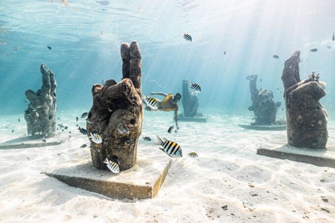 Cancun: Sunrise Snorkeling Tour With 5 Stops and Pickup - Frequently Asked Questions