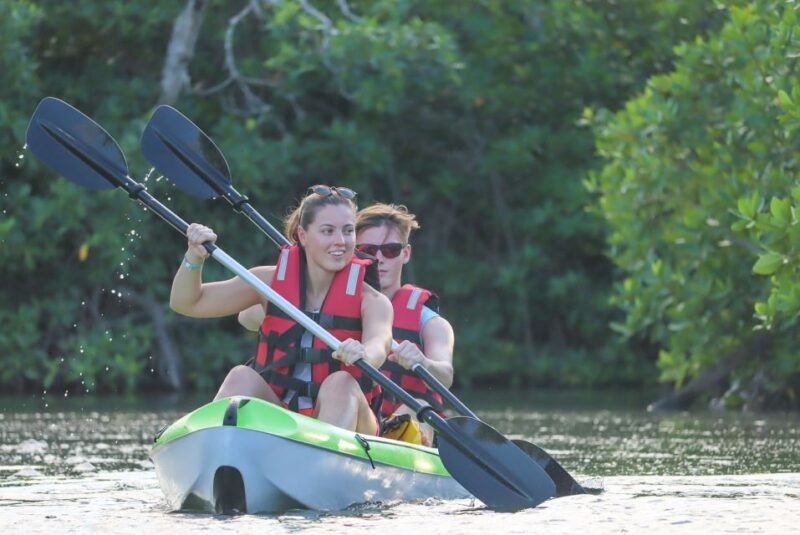 Cancun: Sunset Kayak Experience in the Mangroves - Pricing and Discounts