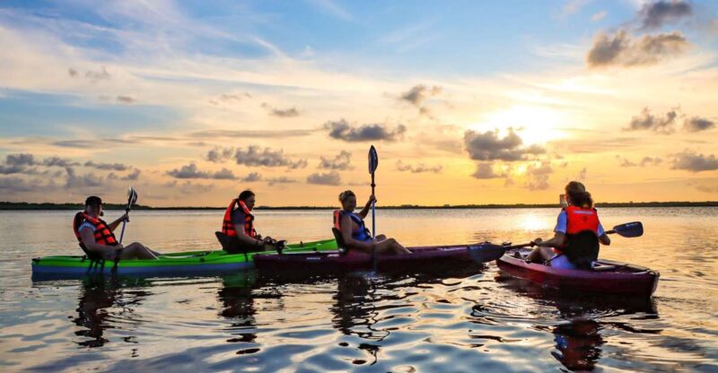 Cancun: Sunset Kayak Experience in the Mangroves - Itinerary and Highlights