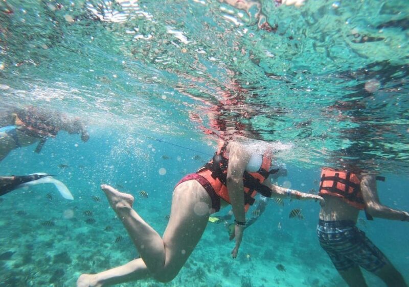 Cancun: Swim and Snorkel With Whale Sharks, Includes Snacks - Dietary Restrictions and Requests