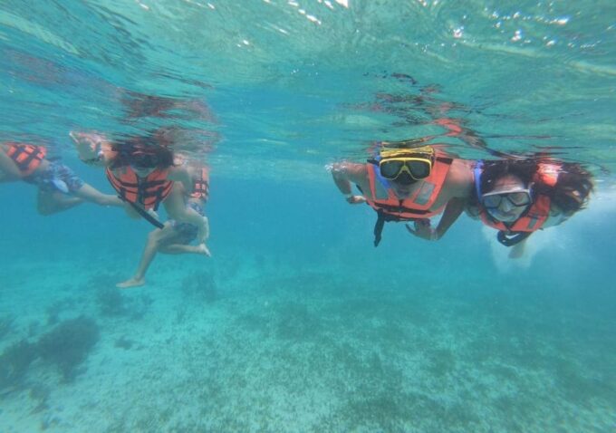Cancun: Swim and Snorkel With Whale Sharks, Includes Snacks - Expert Guides and Language