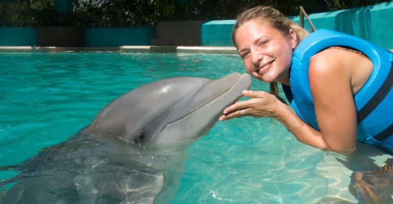 Cancún: Swim With Dolphins at Interactive Aquarium Cancún - Included Features