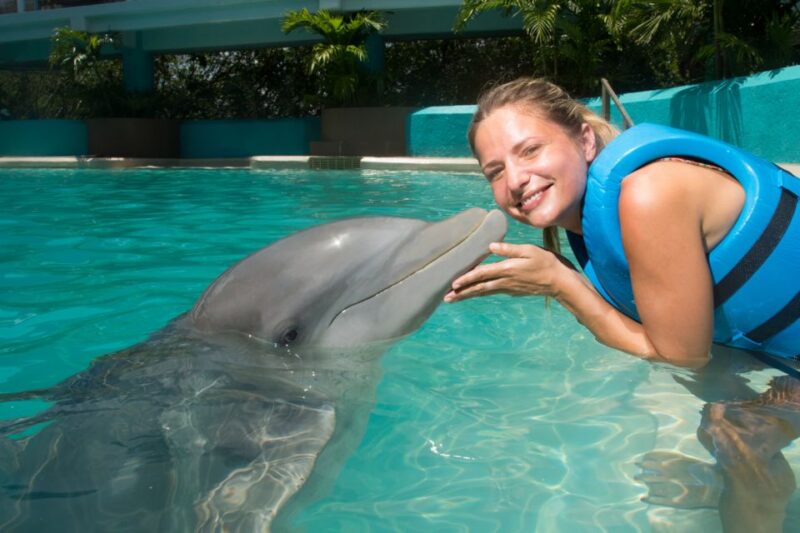 Cancún: Swim With Dolphins at Interactive Aquarium Cancún - Location and Meeting Point