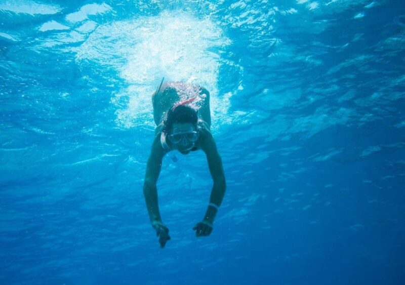Cancun: Swim With Whale Sharks and Snorkel in a Coral Reef - Experience Description