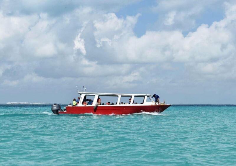 Cancun: Swim With Whale Sharks and Snorkel in a Coral Reef - Meeting Point and Important Information