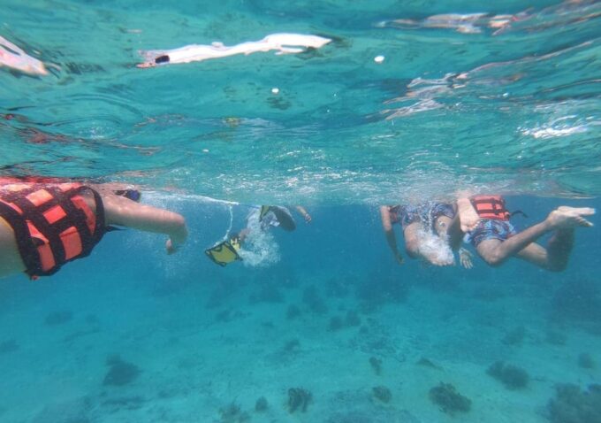 Cancun: Swim With Whale Sharks and Snorkel in a Coral Reef - Frequently Asked Questions