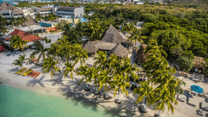 Cancún: Swim With Whale Sharks & Playa Norte Beach - Pricing and Reservations