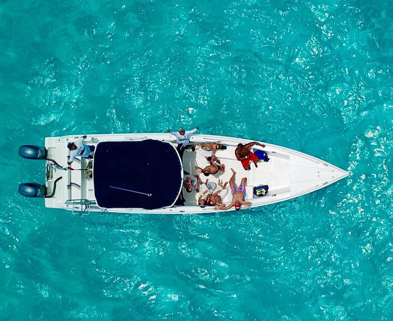 Cancún: Swim With Whale Sharks & Playa Norte Beach - Itinerary and Experience