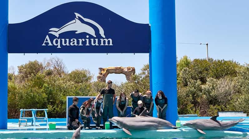 Cancun: Ticket for the Interactive Aquarium - Marine Life Encounters