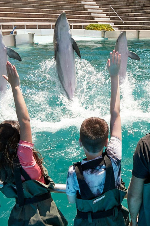 Cancun: Ticket for the Interactive Aquarium - Educational Areas and Conservation