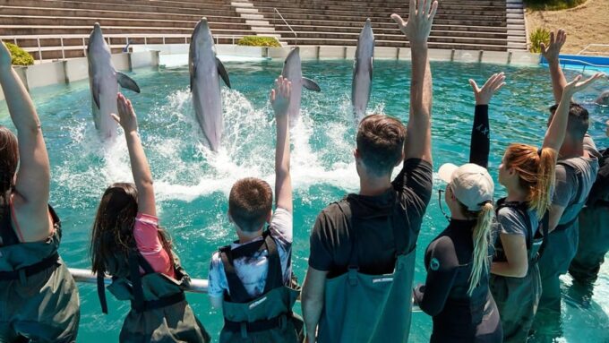 Cancun: Ticket for the Interactive Aquarium - Inclusions and Exclusions