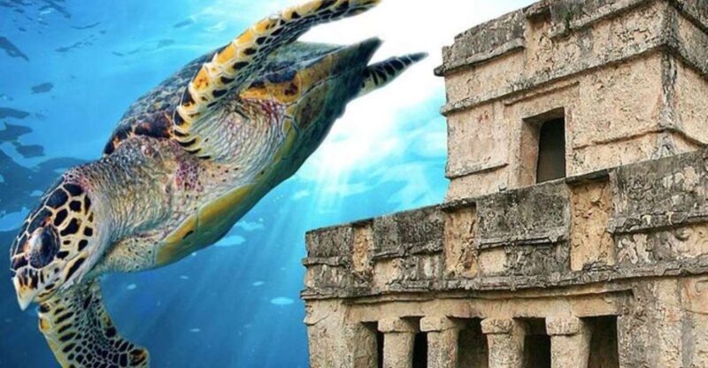 Cancun: Tulum Ruins & Snorkeling With Sea Turtles Tour - Key Points