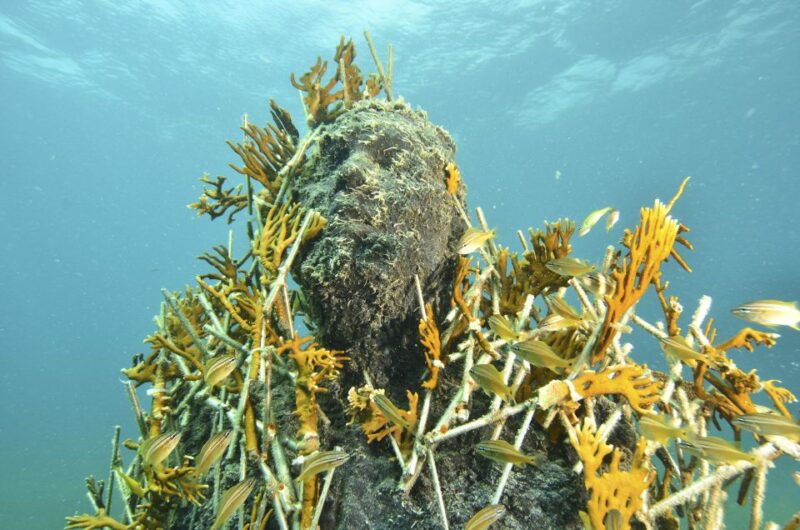 Cancún: Underwater Museum & Reef for Certified Scuba Divers - Dive Experience Details