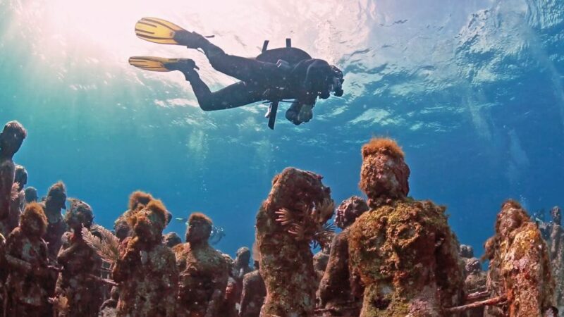 Cancún: Underwater Museum & Reef for Certified Scuba Divers - Inclusions and Important Information