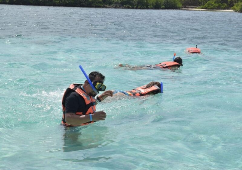 Cancun: Whale Shark Encounter and Snorkeling Experience - Key Points