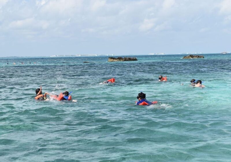 Cancun: Whale Shark Encounter and Snorkeling Experience - Meeting Point