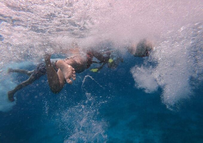 Cancun: Whale Shark Encounter and Snorkeling Experience - Tour Duration and Pricing
