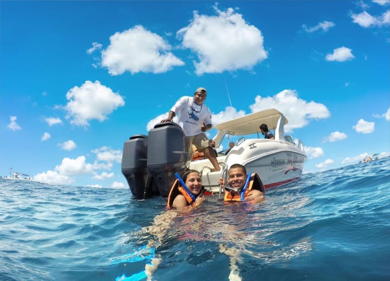 Cancun Whale Shark Experience With Snorkel & Transportation - Itinerary Highlights