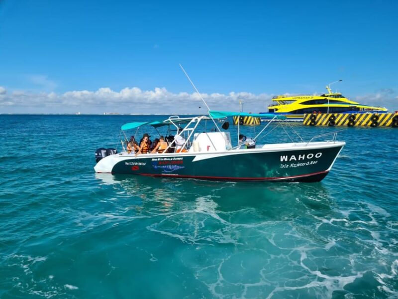 Cancun Whale Shark Experience With Snorkel & Transportation - Important Considerations