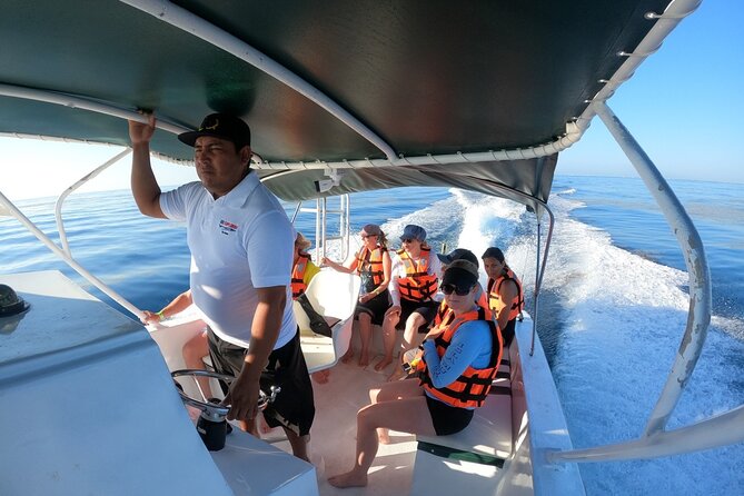 Cancun Whale Shark Experience With Snorkel & Transportation - Tour Highlights