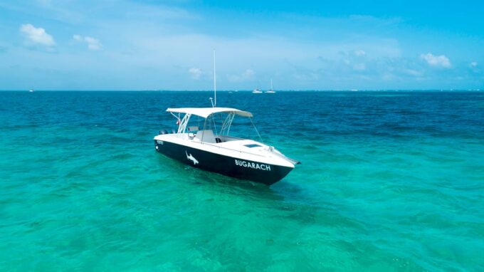 Cancun: Whale Shark Snorkeling Experience - Weather and Mobility Considerations