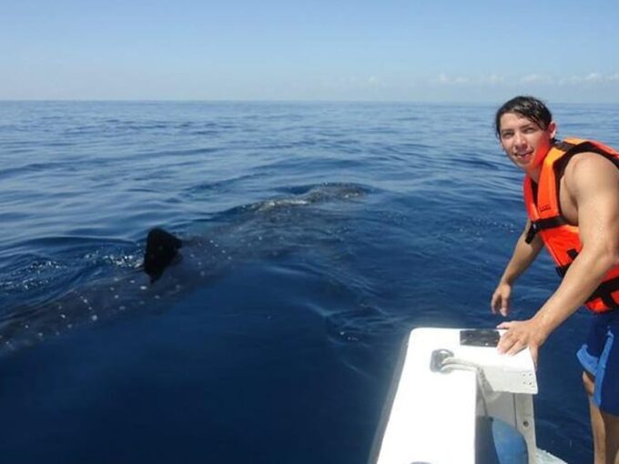 Cancun: Whale Shark Snorkeling Experience - Frequently Asked Questions