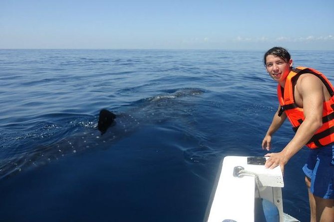 Cancun Whale Shark Tour With Transportation - Additional Information