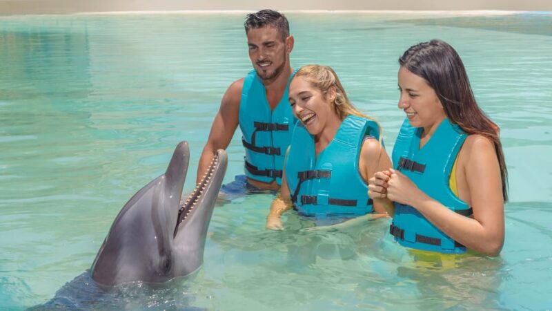 Cancun:Dolphin Diamond Experience With Buffet and Water Park - Dolphin Interaction Highlights
