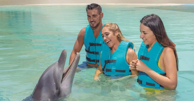 Cancun:Dolphin Diamond Experience With Buffet and Water Park - Important Information and Restrictions