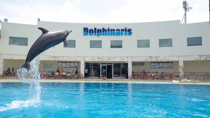 Cancun:Dolphin Diamond Experience With Buffet and Water Park - Cancellation and Refunds